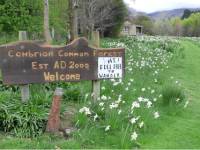 Cambrians |  Bob Lahti