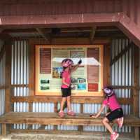 Kids finding out which way to go! |  Philip Wyndham