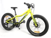 20' childs bike